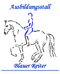 Blauer Reiter