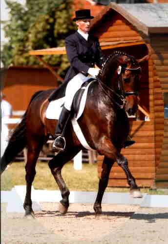 westfmeis03steinhagen